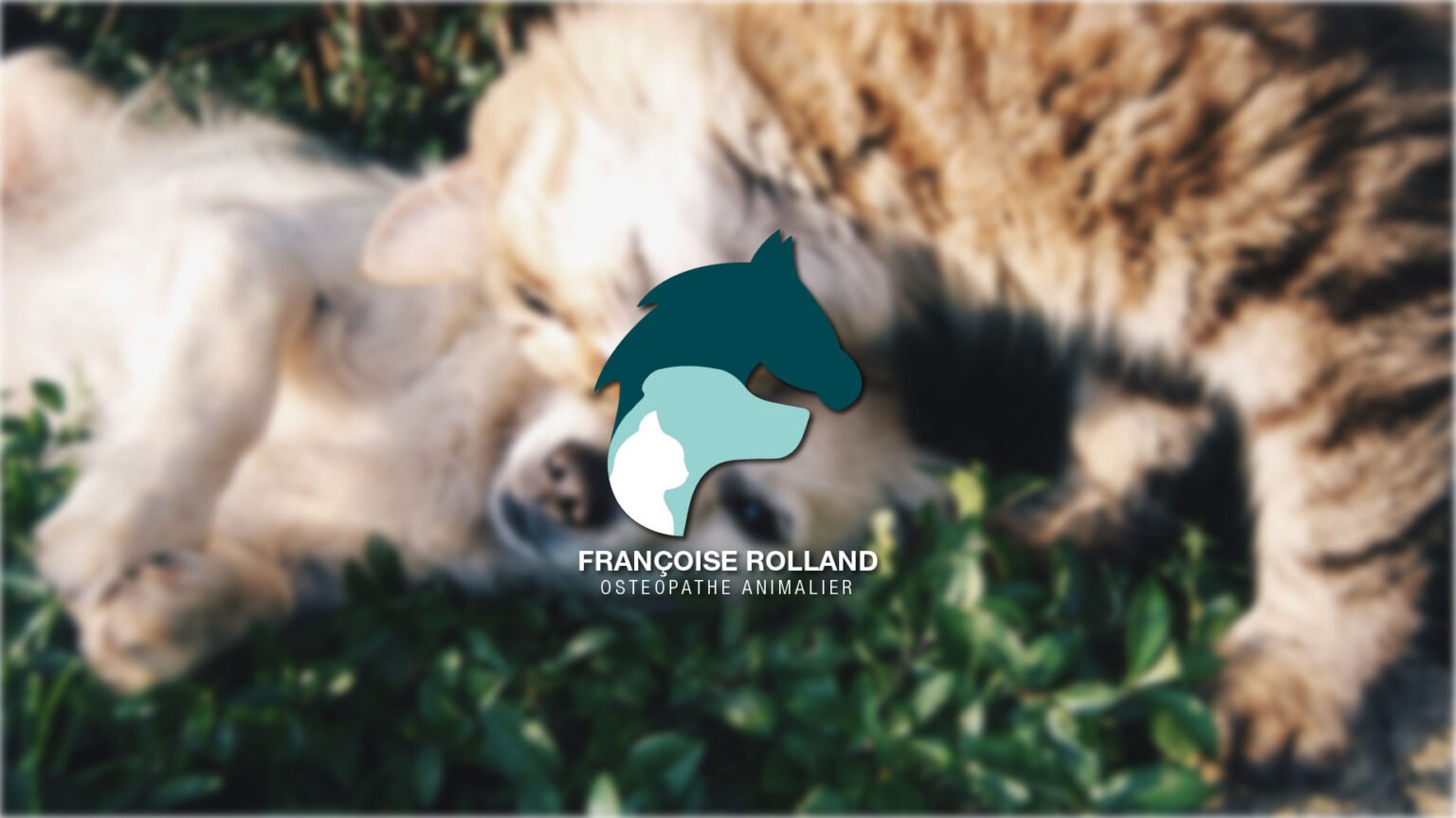 Logo couleur verticale Françoise Rolland sur un fond avec des animaux