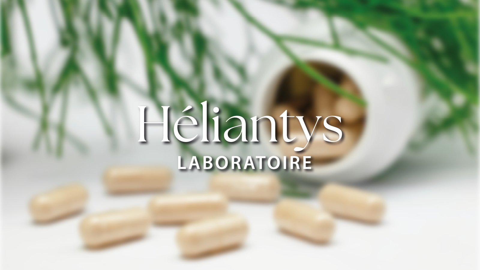 Laboratoire héliantys bannière projet