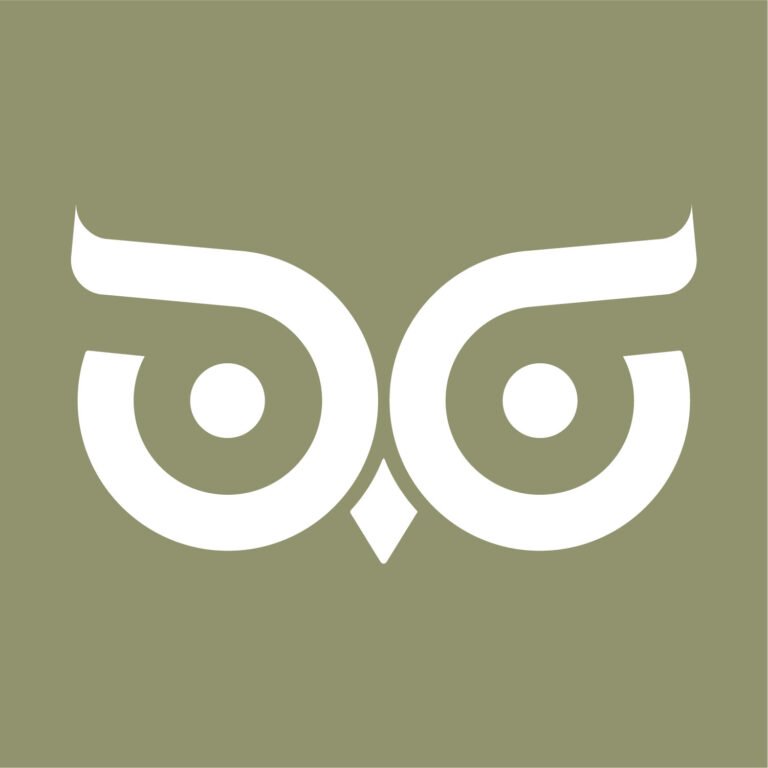 Symbole de chouette du logo Olwen sur fond vert sauge.