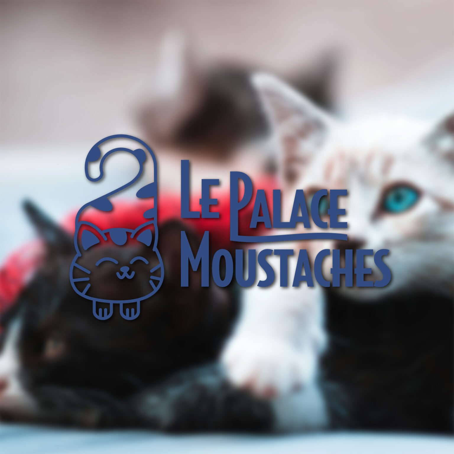 Logo fictif bleu sur un fond représentant des chats